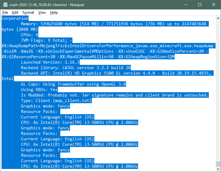 Opened crash report in Notepad with all text selected
