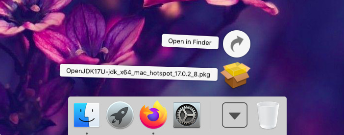 Screenshot of OpenJDK installer in downloads tray