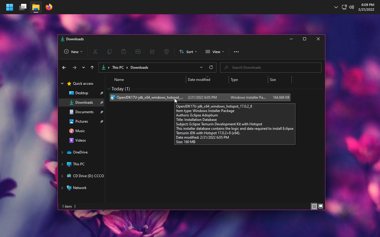 Screenshot of OpenJDK installer in downloads folder
