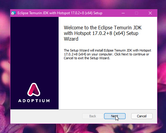 Screenshot of OpenJDK installer