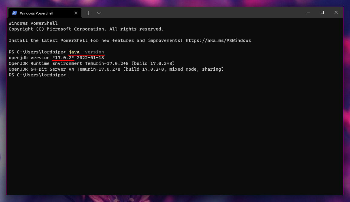 Screenshot of Windows Terminal with above command run